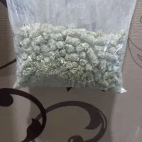 غذای‌ خوکچه هندی