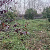 فروش-زمین-مسکونی-منطقه-آزادانزلی-خشکبیجار-خمام