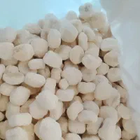 کشک خوش مزه