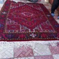 فرش جفت شش متری|فرش|اهر, |دیوار