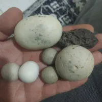 سنگ الماس آسیاب