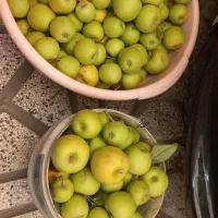 سیب|خوردنی و آشامیدنی|مشهد, استاد یوسفی (شهرک غرب)|دیوار