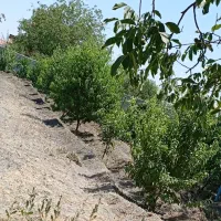 کارگر هستیم
