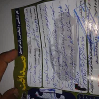 پژو پارس الکسelx