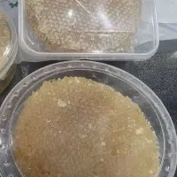 فروش عسل مرغوب درمانی کردستان|عمده‌فروشی|بندر ماهشهر, |دیوار