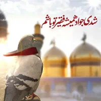 نیاز فوری به پنجاه میلیون با سود