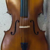 ویولنسل / ویلنسل / ویولونسل / چلو|ویولن|شیراز, گلکوب|دیوار