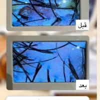 آموزش اسکالپ سر با ضمانت یادگیری/شروع کلاس 1آذر|خدمات آموزشی|قم, سالاریه|دیوار