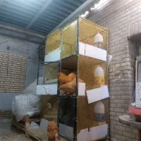 قفس پرنده۳طبقه بزرگ