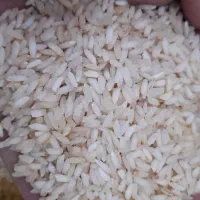 برنج عنبر درجه دو (زرده)|خوردنی و آشامیدنی|اهواز, کمپلو جنوبی|دیوار