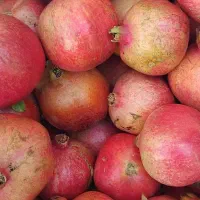 انار تازه و خوب