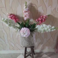 تعدادی گل و گلدان دکوری