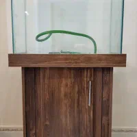 اکواریوم پلنت