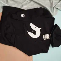 تولید محتوا ادیتور هستم|خدمات رایانه‌ای و موبایل|تهران, ایرانشهر|دیوار