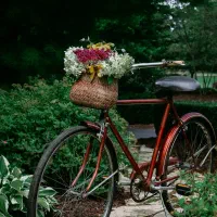 گچکاری. لکه. گیری