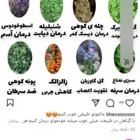 ترکیبات گیاهی ودارویی، رژیمی با طب اکبری