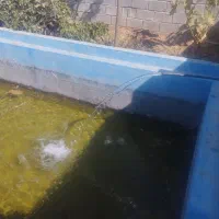 باغ-خالد-اباد