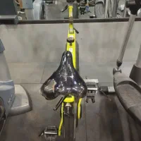 دوچرخه ثابت