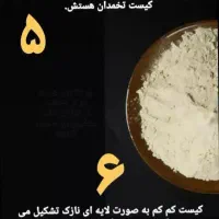 نوره زرنیخ دار شاخه طلایی|آرایشی، بهداشتی، درمانی|نیشابور, شهید بهشتی|دیوار