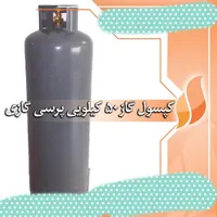 1 عدد کپسول 50کیلویی بزرگ پرسی و 1 عدد الیاس گاز