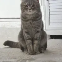 لطفا آگهی رو بخونید