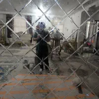 آینه دکوراتیو|آینه|رفسنجان, |دیوار