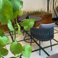 میزو صندلی کیانوش19900