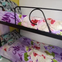 تخت خواب دو طبقه|تخت و سرویس خواب|کرج, حصارک بالا|دیوار