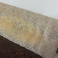 فروش یک جفت پشتی ماشینی