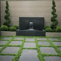 ویزیت تخصصی و درمان گیاهان آپارتمانی ، گیاه‌پزشک