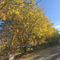 اجاره فضای آموزشی