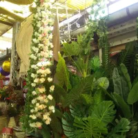 ویلای-200متر-کلنگی-سند-تک-برگ-دربندسر