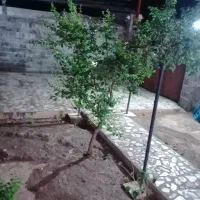 اجاره روزانه/هفتگی/ماهانه ویلا ۴۰۰ متری|اجارهٔ کوتاه‌مدت ویلا و باغ|اسکو, |دیوار