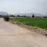 فروش زمین مسکونی مصیری محله ضامنی|فروش زمین و ملک کلنگی|رستم, |دیوار