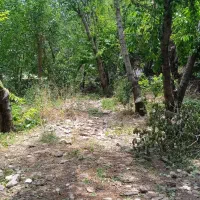 باغات لواسان
