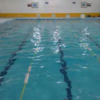 نیروی کار استخر