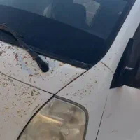 کیادوکابین|خودرو سنگین|قشم, |دیوار