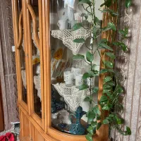 گنجه چوبی|بوفه، ویترین، کنسول|طرقبه, |دیوار