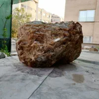 سنگ راف آراگونیت طبیعی|کلکسیون و سرگرمی|اصفهان, چشمه باقرخان|دیوار