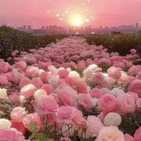 زمین اجاره کشاورزی