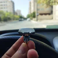 انگشتر در نجف|جواهرات|قم, بنیاد|دیوار