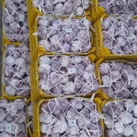 سیر لوکس