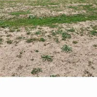 فروش زمین ۱۸۳ متر خیابان حر