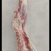 گوشت گوساله و گوسفند لاشه وتیکه ای و چرخ کرده|خوردنی و آشامیدنی|اصفهان, عسگریه|دیوار