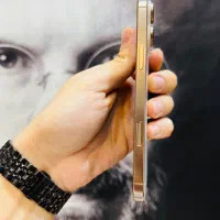 iPhone 16 Pro max 256 Zaa اقساطی باچک یا ضمانت طلا|موبایل|مشهد, عامل|دیوار