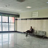 وکیل دقیق و مجرب