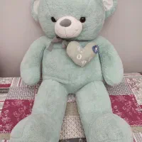 خرس بزرگ خارجی