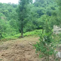 زمین مسکونی شمال بین ماسال وماسوله