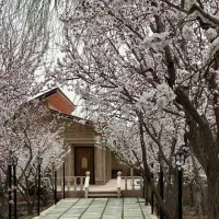 باغچه-هزار-متری-سوپر-لاکچری-قلع-فرامرز-تهاتر-ونقد