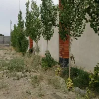 باغ ۵۶۰ متری جاده سنتو با کنتور برق|فروش خانه و ویلا|مشهد, میان ولایت|دیوار